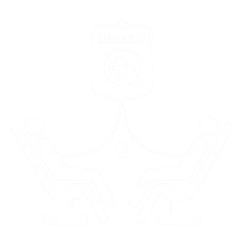 Individual Social Responsibility action icon 10