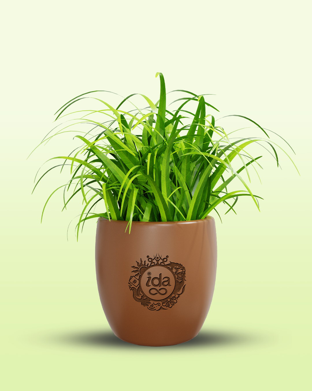 Flower Pots